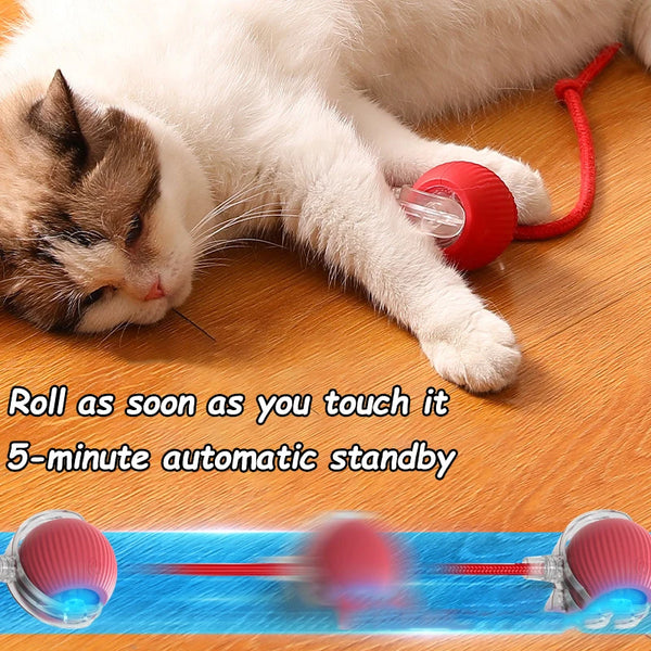 Smart Cat Rolling Ball