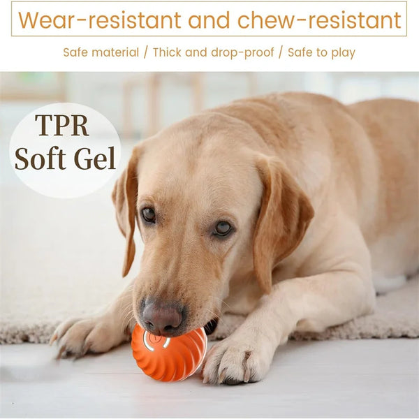 Magic Bounce Pet Play Ball